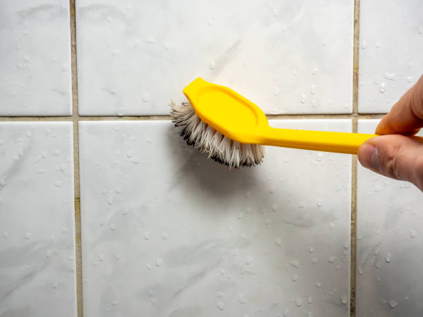 Best Home Mold Removal  in Morris, OK