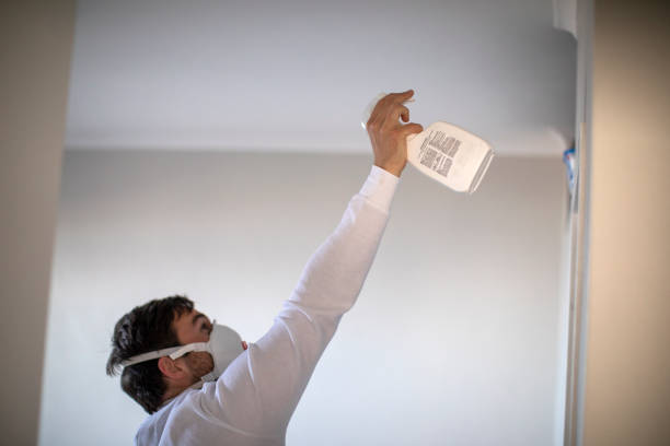 Best Local Mold Removal Service  in Morris, OK