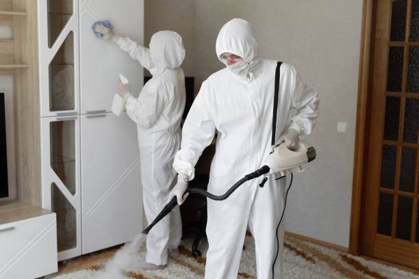 Best Mold Testing  in Morris, OK