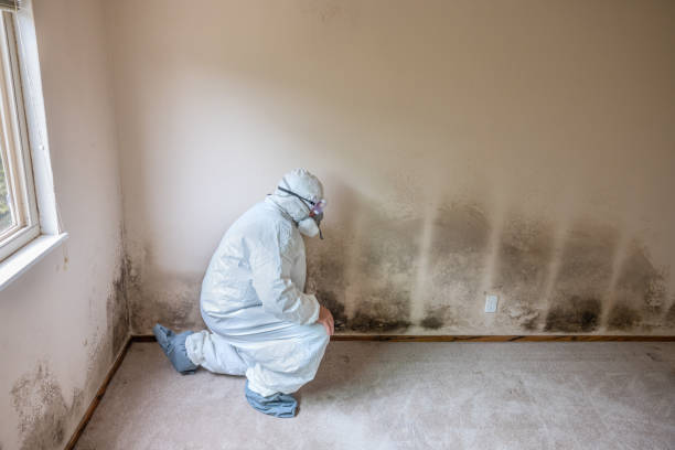 Best Crawl Space Mold Removal  in Morris, OK