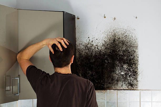 Best Crawl Space Mold Removal  in Morris, OK