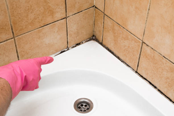 Best Mold Remediation  in Morris, OK